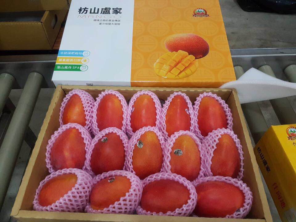 愛文芒果