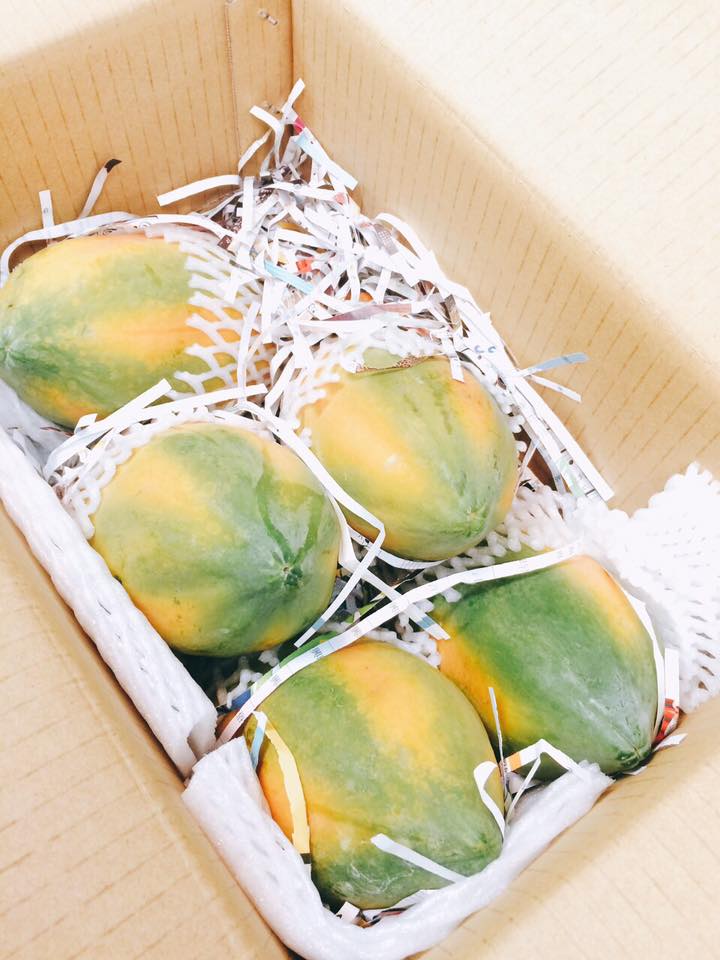 日陞木瓜