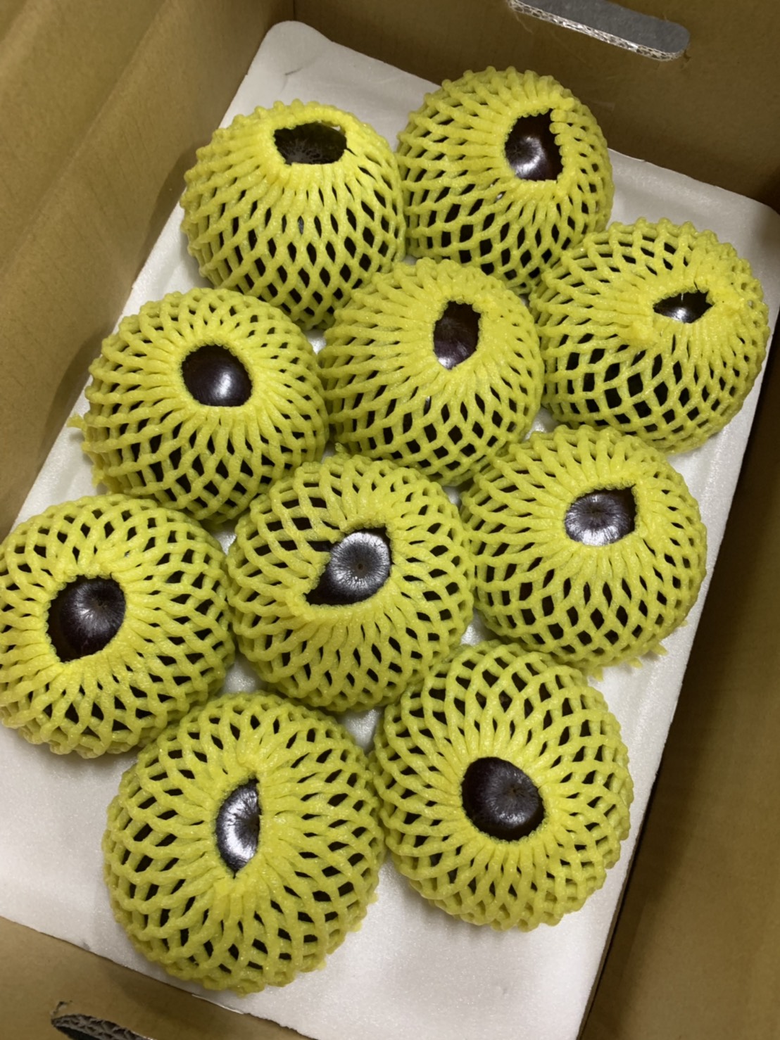 紫鑽牛奶果