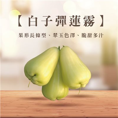 白子彈蓮霧