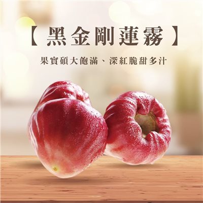 黑金剛蓮霧